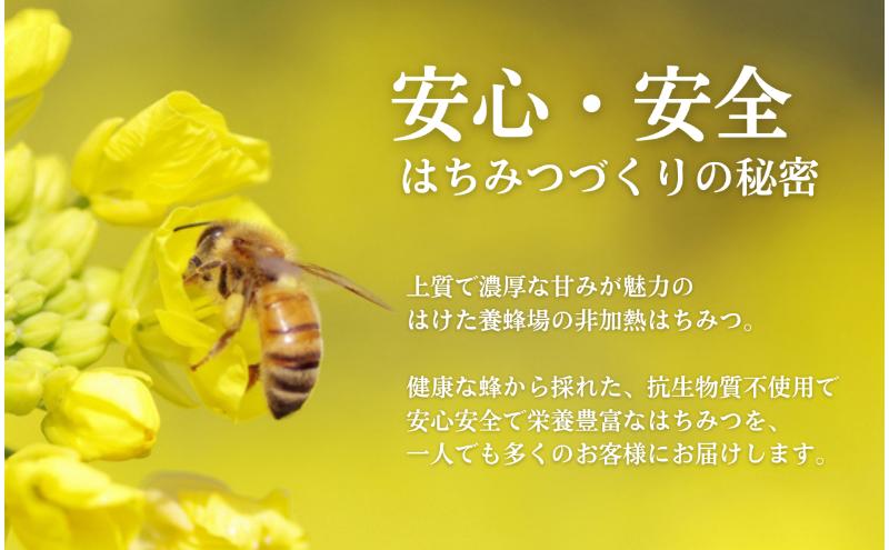 国産 生はちみつ 600g 2本セット 百花 くり セット 詰め合わせ 国産はちみつ 国産ハチミツ 天然蜂蜜 はちみつ 蜂蜜 ハニー 天然国産 非加熱 食べ比べ 食べ比べセット 信州産 長野県産 信州